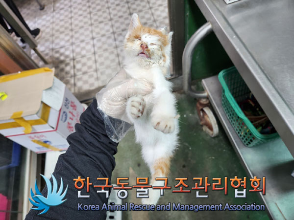 한국동물구조관리협회_411323202300400