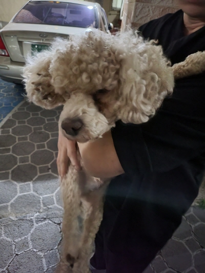 누리동물병원_426338202300104