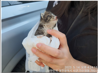 대전동물보호센터_430366202300287