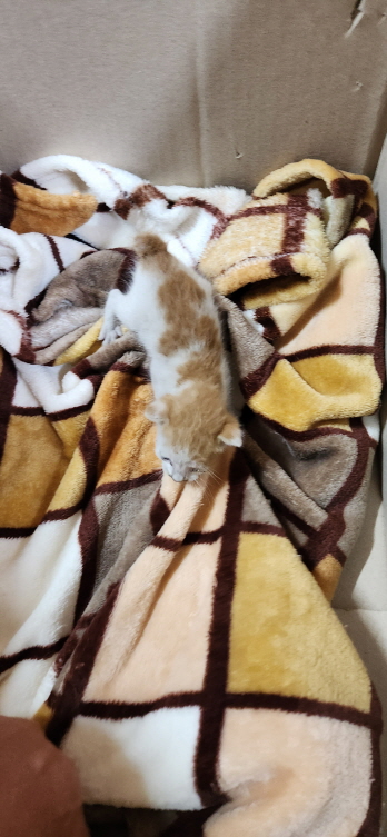 익산유기동물보호소_445468202300989