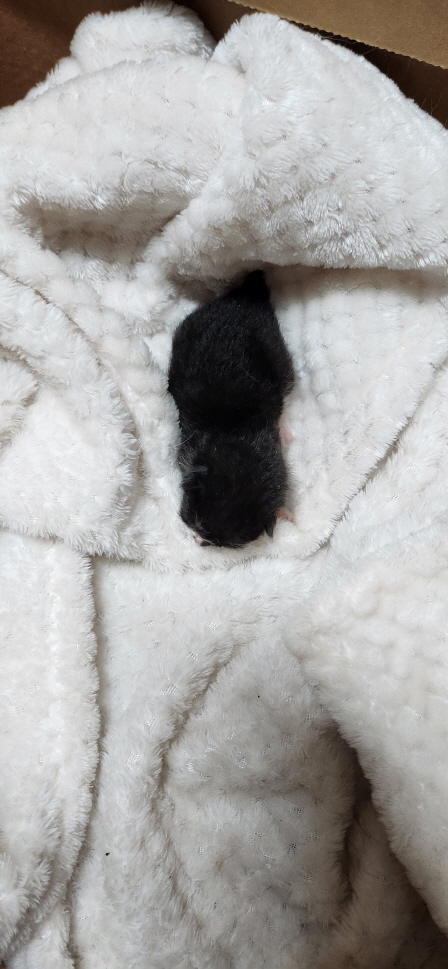 익산유기동물보호소_445468202300983