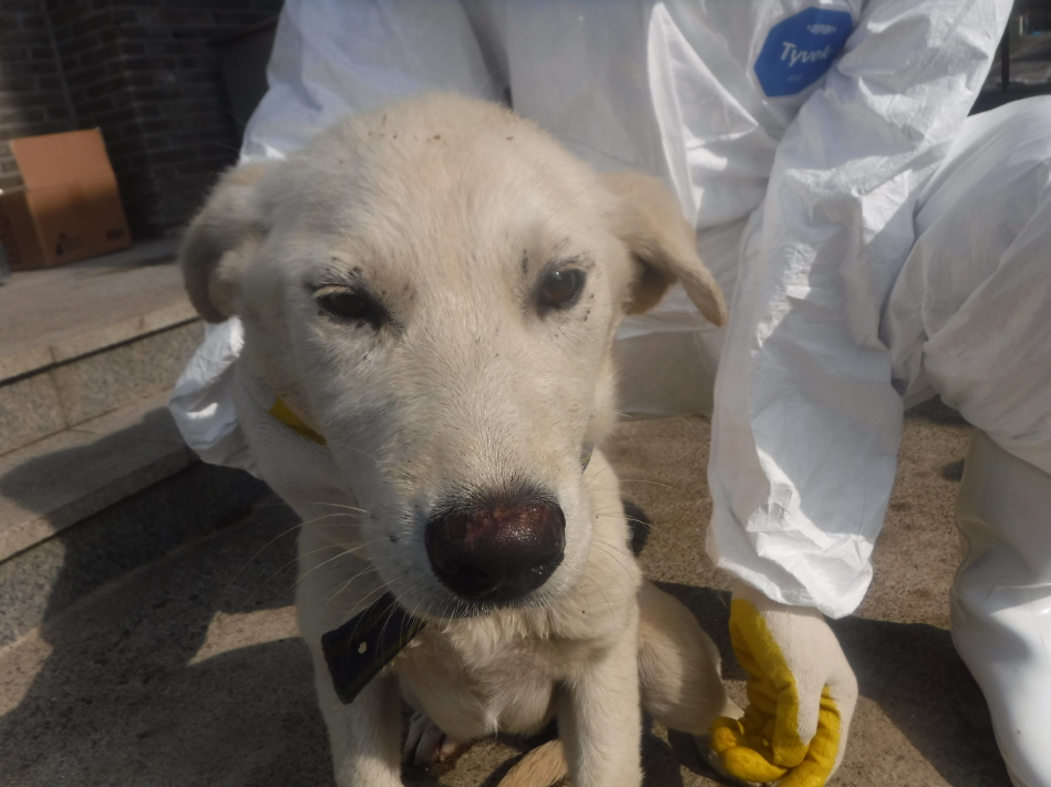 제주 동물보호센터_450650202301597