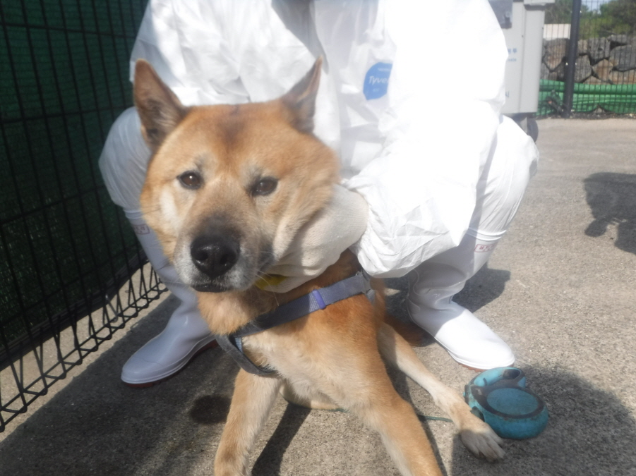 제주 동물보호센터_450650202301586