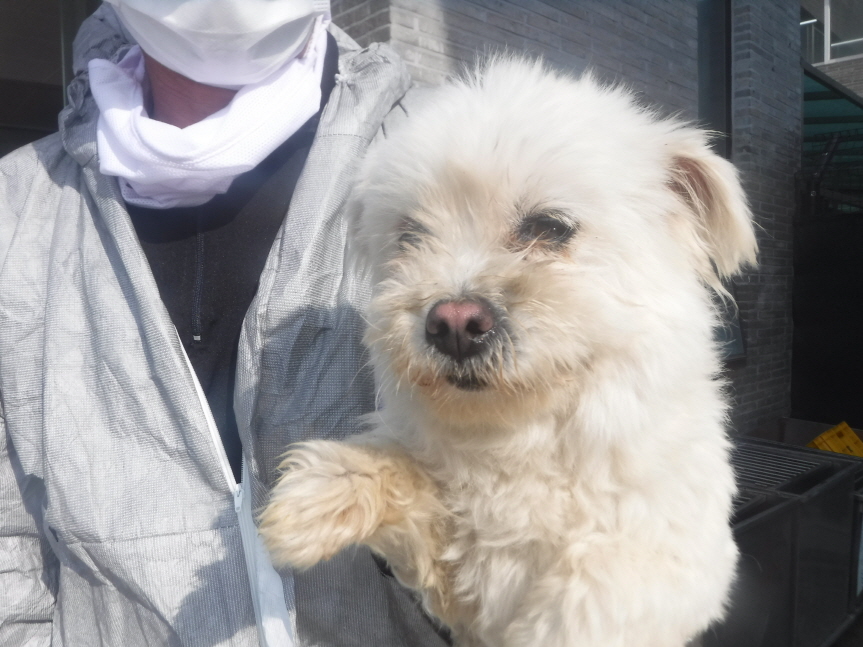 제주 동물보호센터_450650202301595