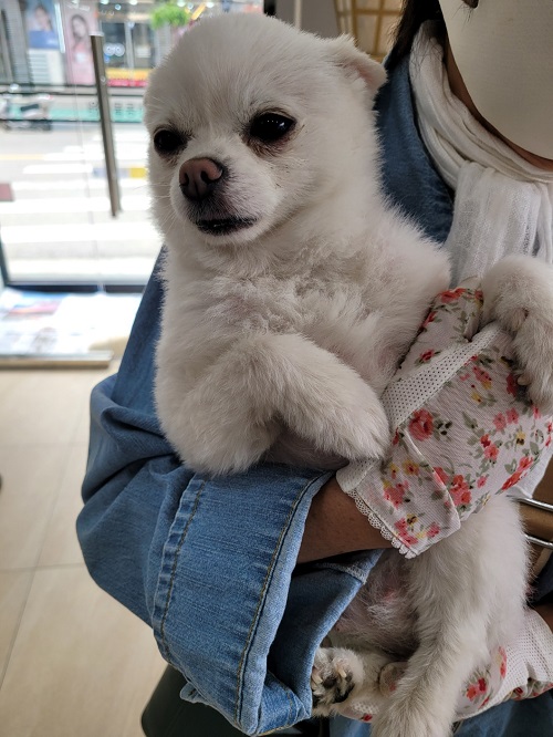 옥천동물병원_443443202300283