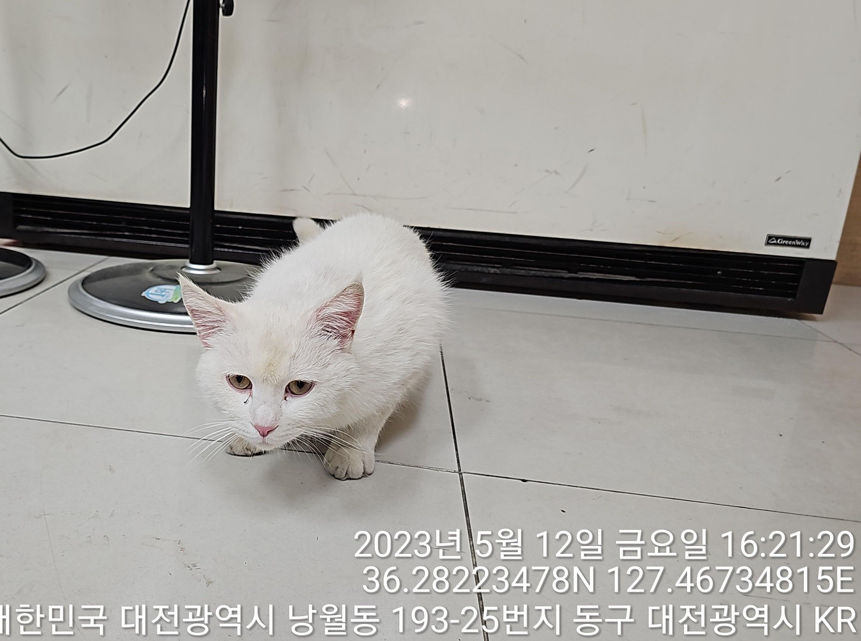 대전동물보호센터_430364202300145