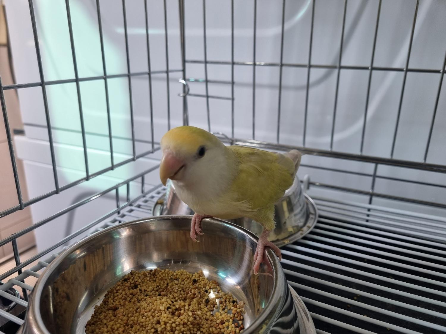 아산동물복지지원센터_444452202301079