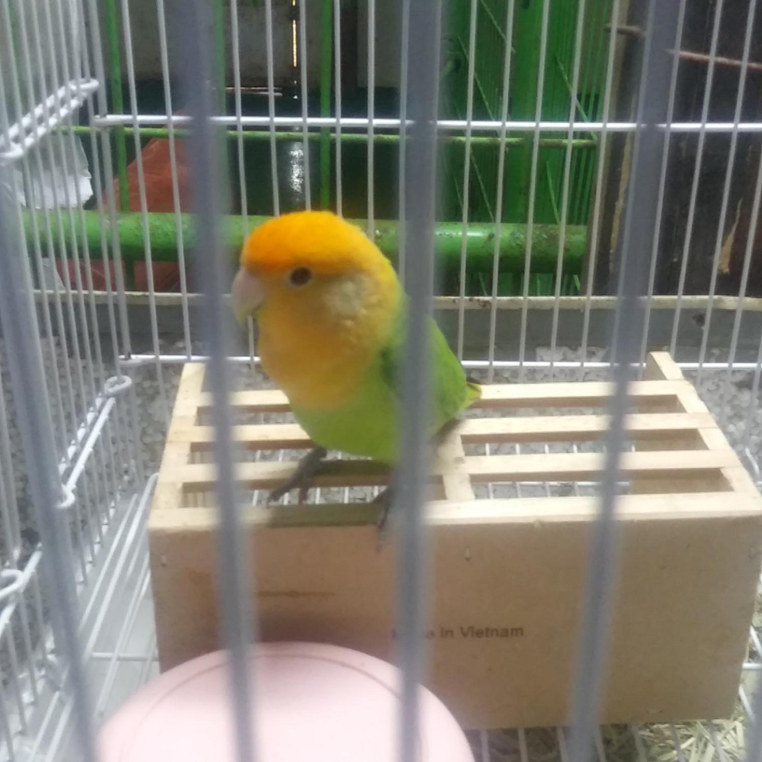 인천광역시수의사회_428351202300386