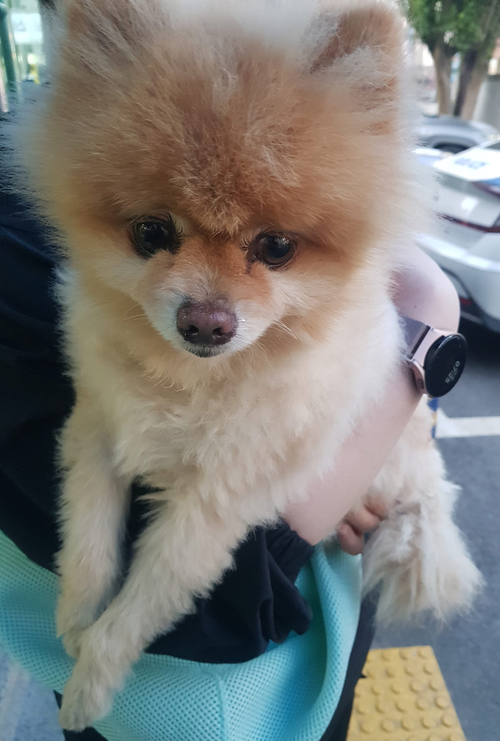 논산시 동물보호센터_444454202300378
