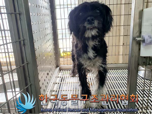 한국동물구조관리협회_441409202300752
