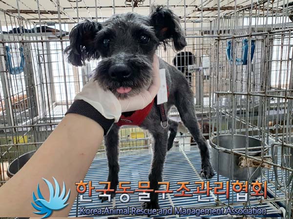 한국동물구조관리협회_441409202300751
