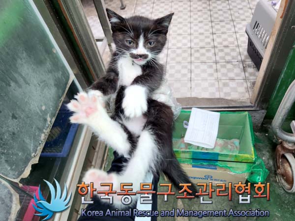 한국동물구조관리협회_411316202300318