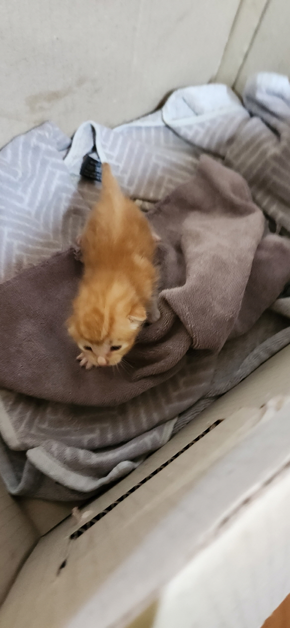익산유기동물보호소_445468202300993