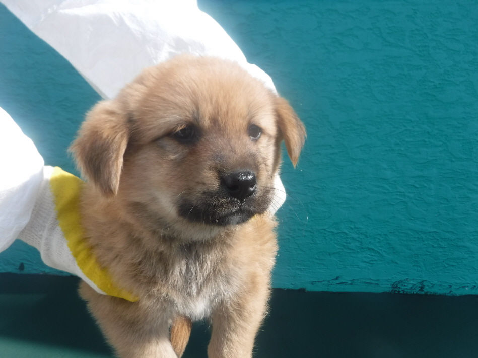 제주 동물보호센터_450650202301611