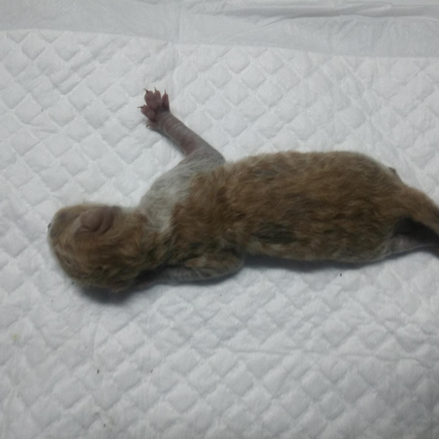 인천광역시수의사회_428351202300395