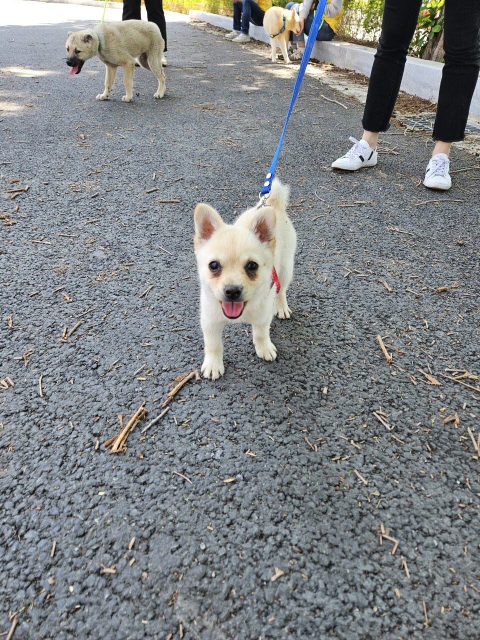 아산동물복지지원센터_444452202301017
