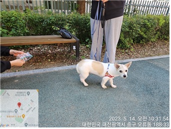 대전동물보호센터_430365202300206