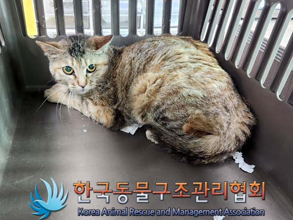 한국동물구조관리협회_441560202300598