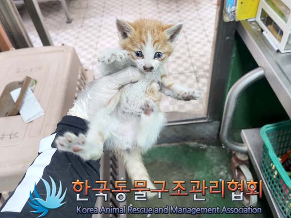 한국동물구조관리협회_411317202300106