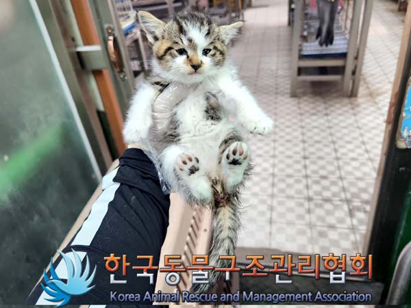 한국동물구조관리협회_441409202300759