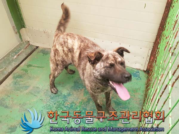 한국동물구조관리협회_441406202300661