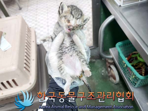 한국동물구조관리협회_411316202300320
