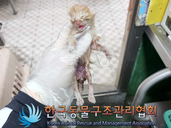 한국동물구조관리협회_411317202300110