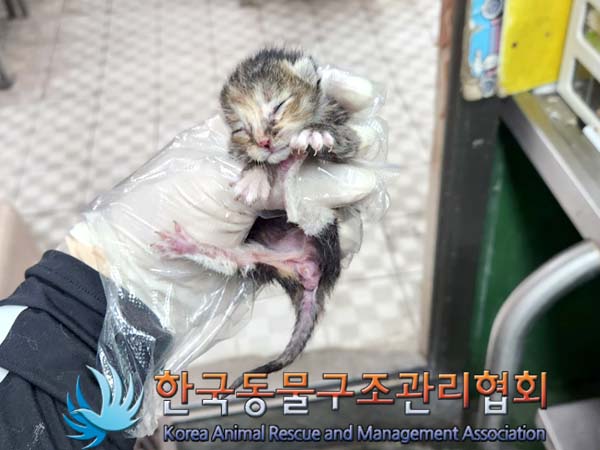 한국동물구조관리협회_411317202300109