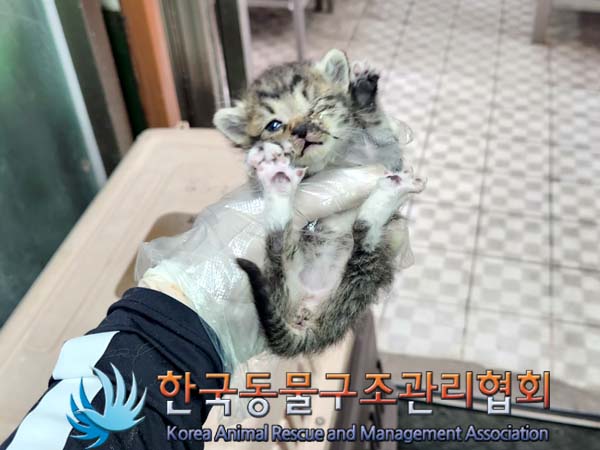 한국동물구조관리협회_411312202300318
