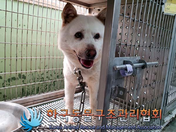 한국동물구조관리협회_411304202300328