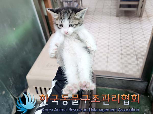 한국동물구조관리협회_411322202300327