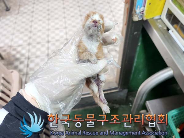 한국동물구조관리협회_411317202300111