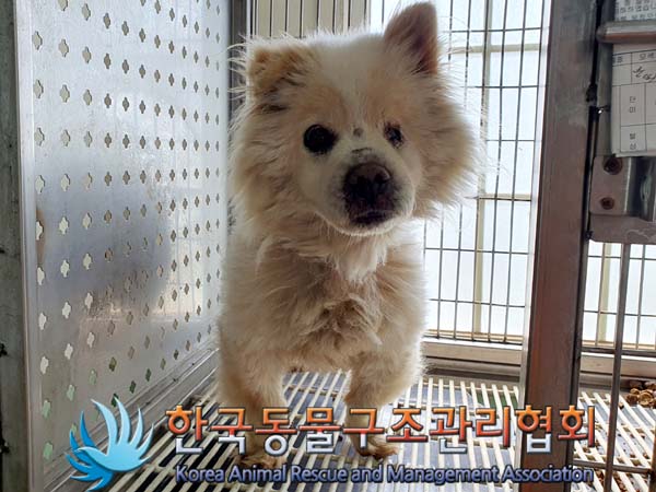 한국동물구조관리협회_441414202300332