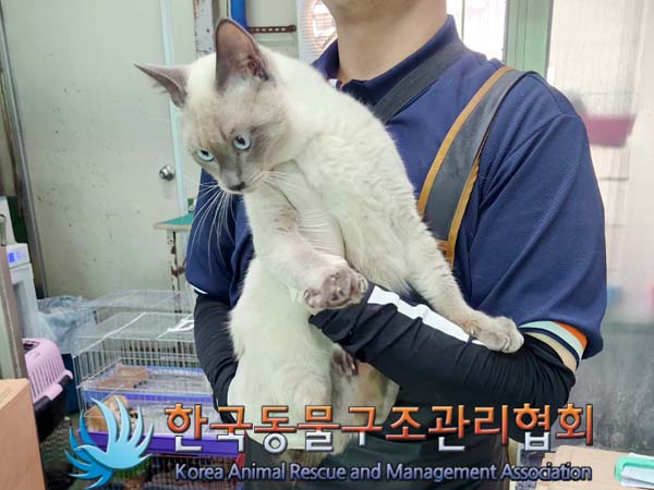 한국동물구조관리협회_441406202300660