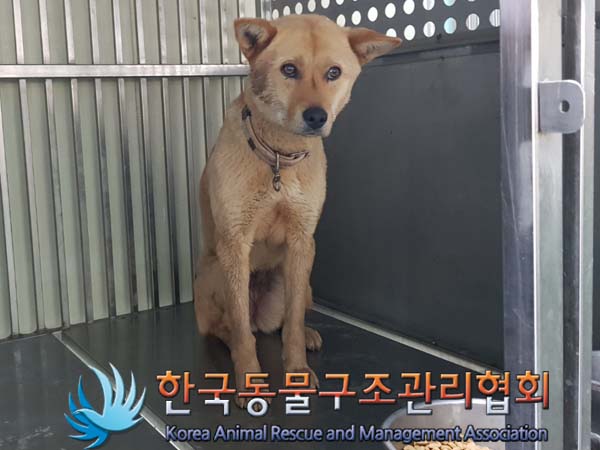 한국동물구조관리협회_441414202300333