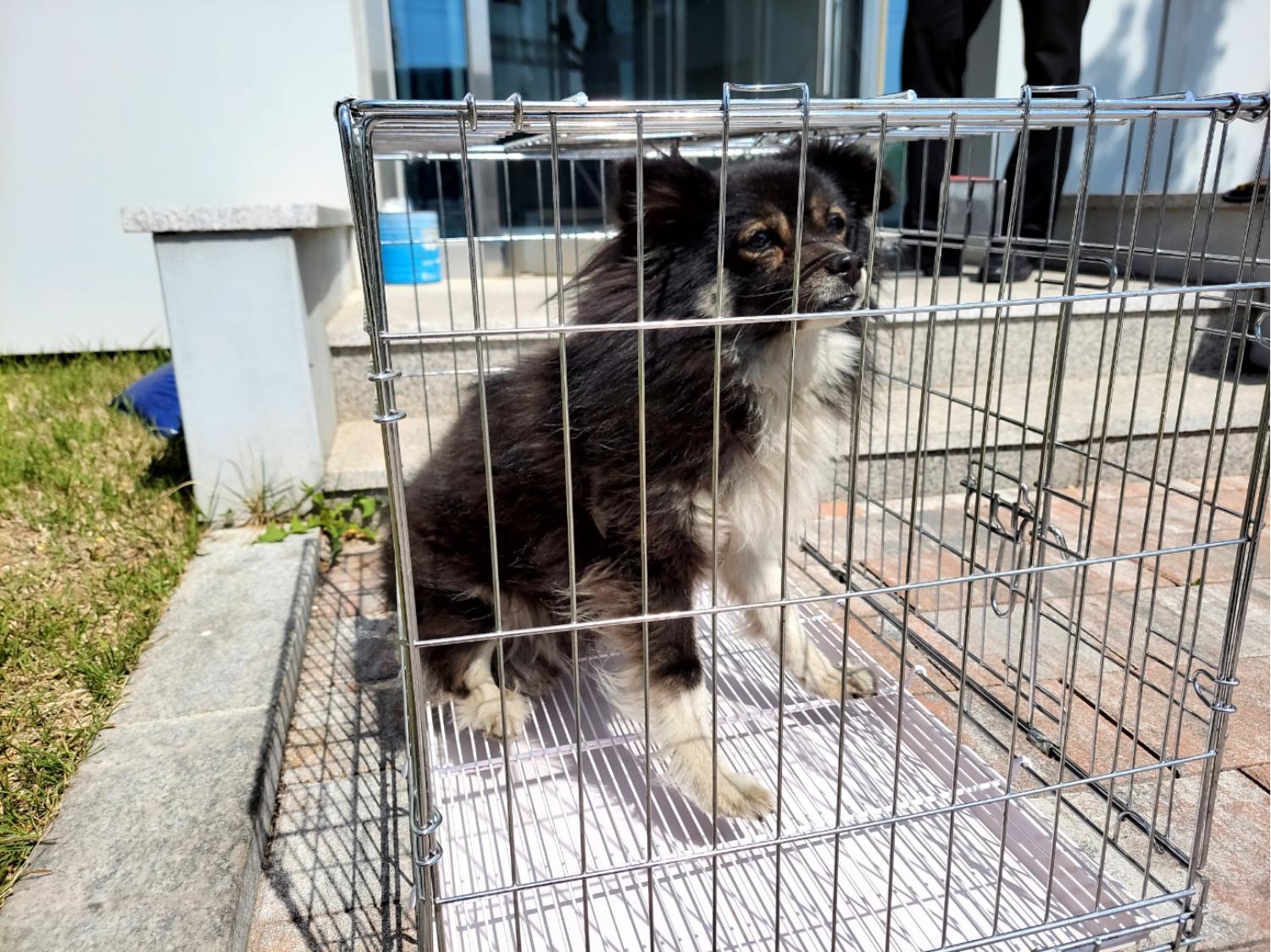 고양시동물보호센터_441394202301042