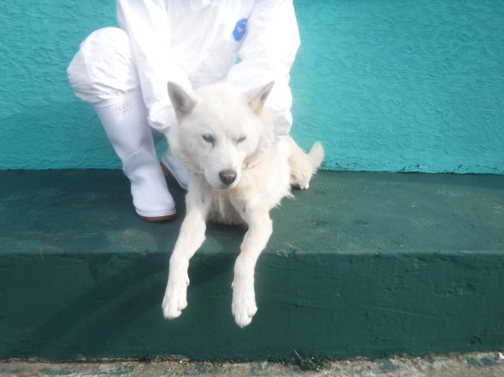 제주 동물보호센터_450650202301625