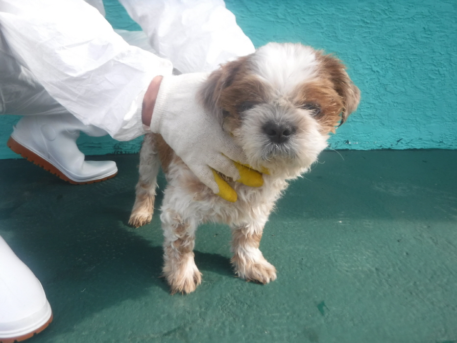 제주 동물보호센터_450650202301619