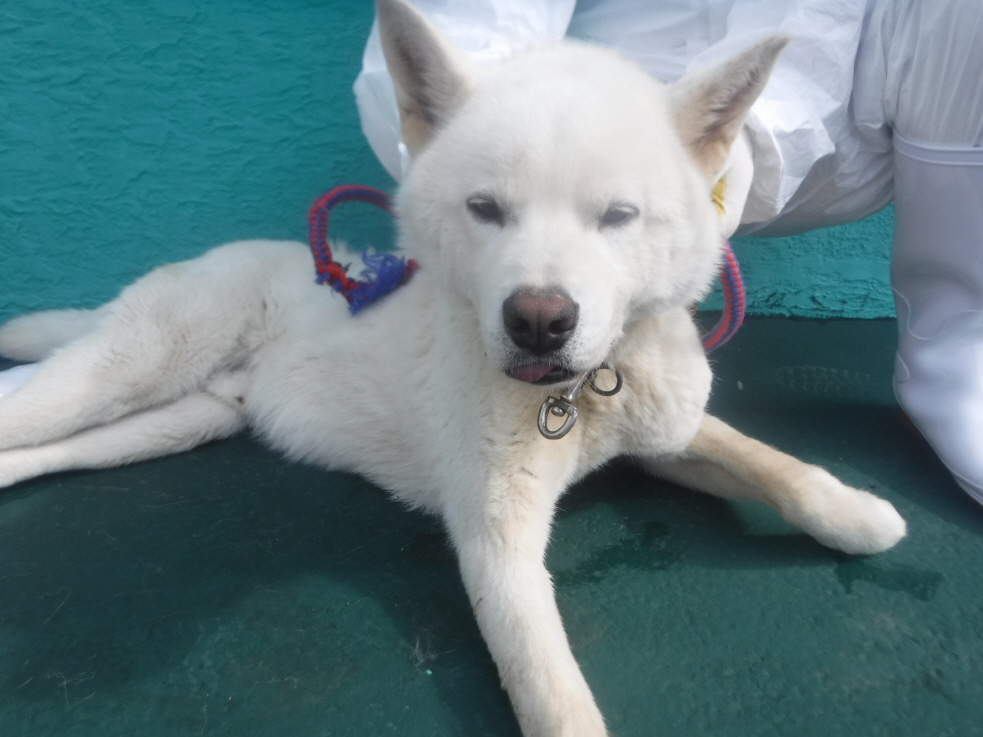 제주 동물보호센터_450650202301622