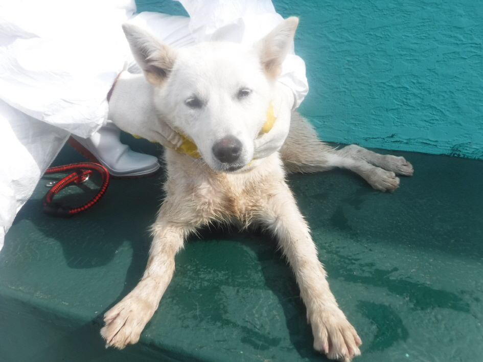 제주 동물보호센터_450650202301621