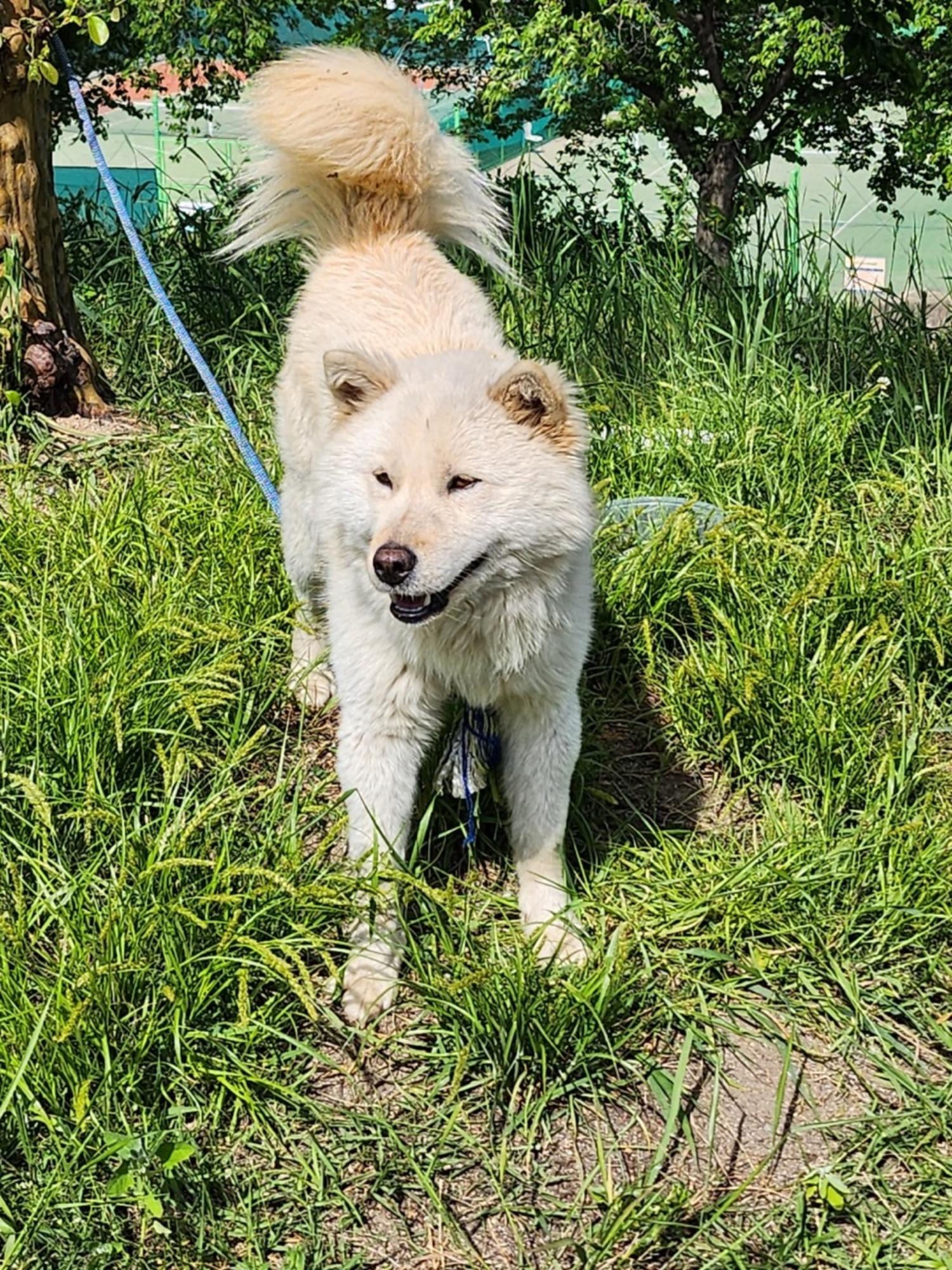 영주시 동물보호센터_447509202300094