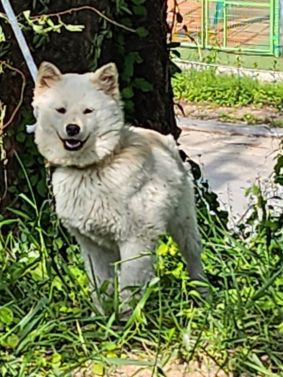 영주시 동물보호센터_447509202300095