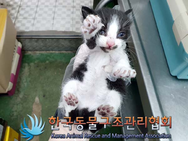 한국동물구조관리협회_411315202300339
