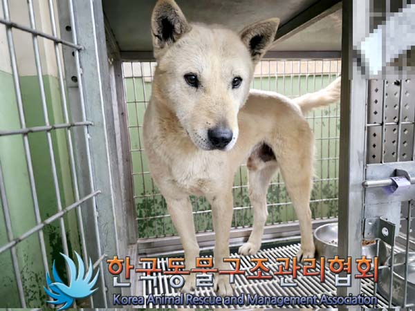 한국동물구조관리협회_441406202300672