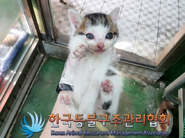 한국동물구조관리협회_441560202300605