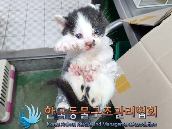 한국동물구조관리협회_441559202300379