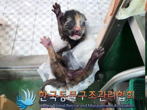 한국동물구조관리협회_441560202300609