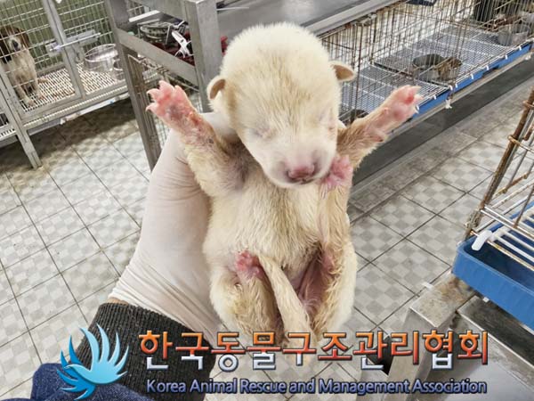 한국동물구조관리협회_441406202300674