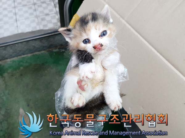 한국동물구조관리협회_441559202300377