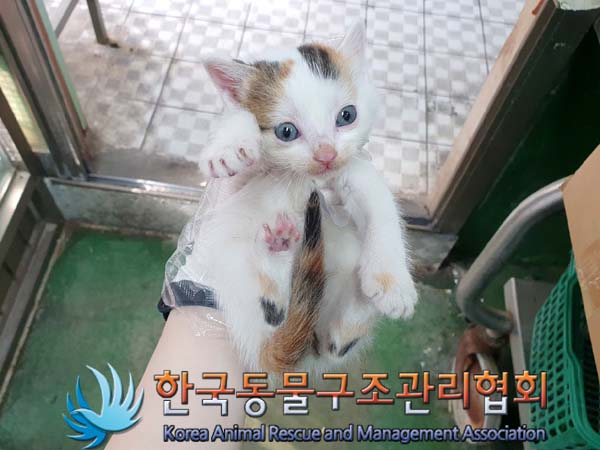 한국동물구조관리협회_441560202300606
